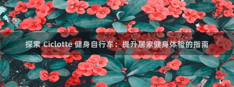 云顶集团进入官网