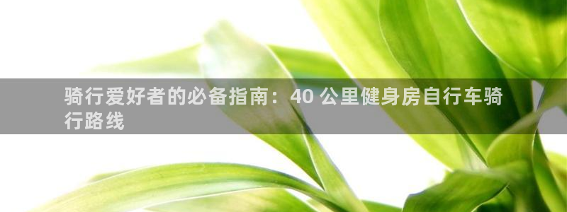 云顶4008游戏官网